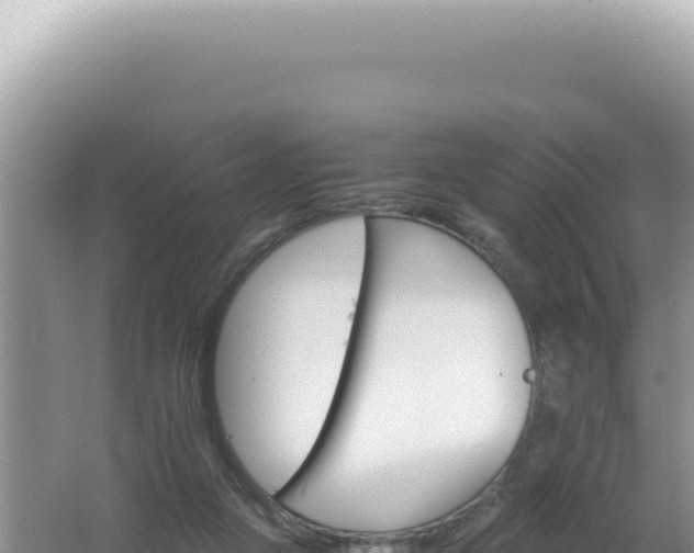 X0000061720161200512092009