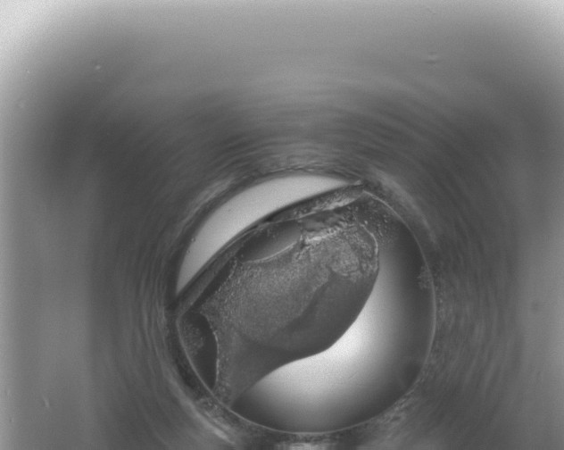 X0000061720163200512092009