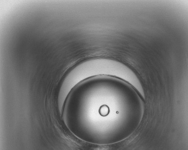 X0000061720164200512092009