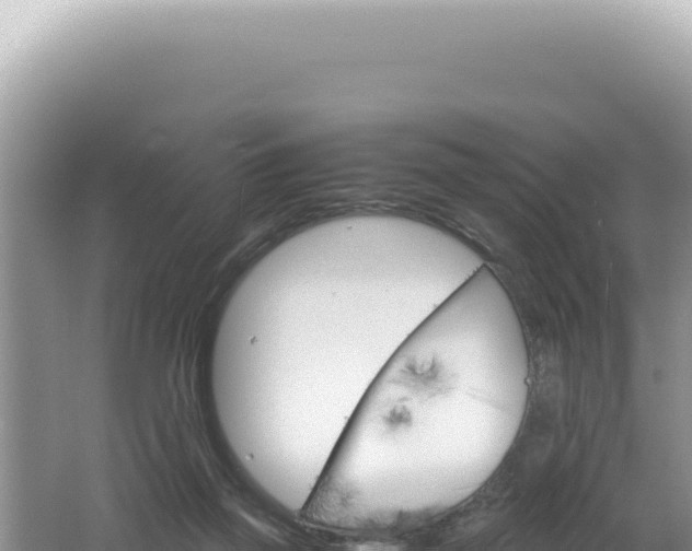 X0000061720165200512092009