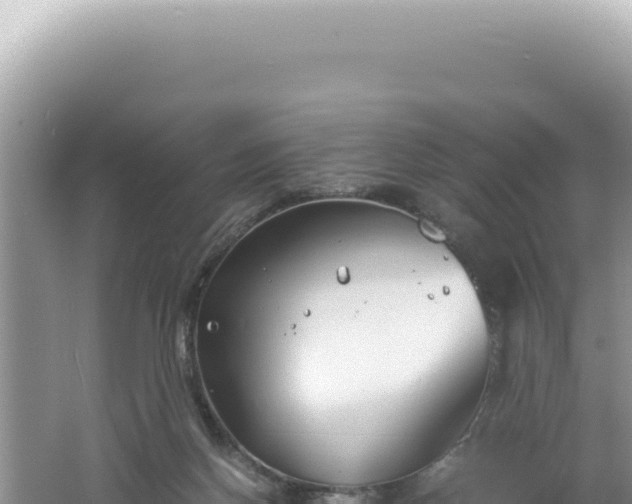 X0000061720166200512092009