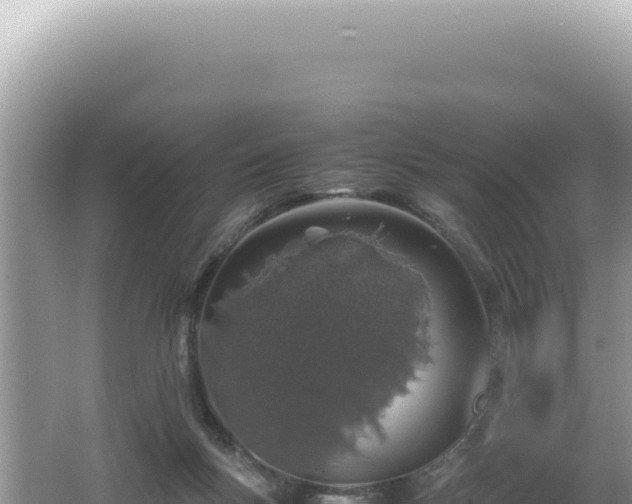 X0000061720167200512092010