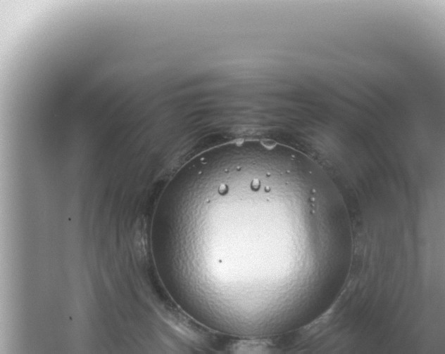 X0000061720179200512092010