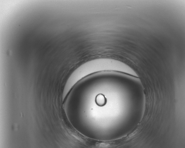 X0000061720180200512092010