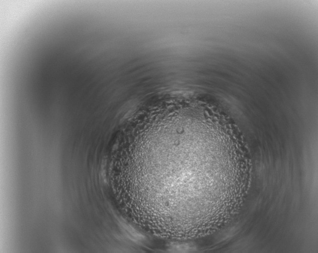 X0000061720185200512092010