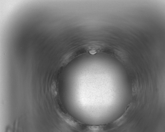 X0000061720187200512092010