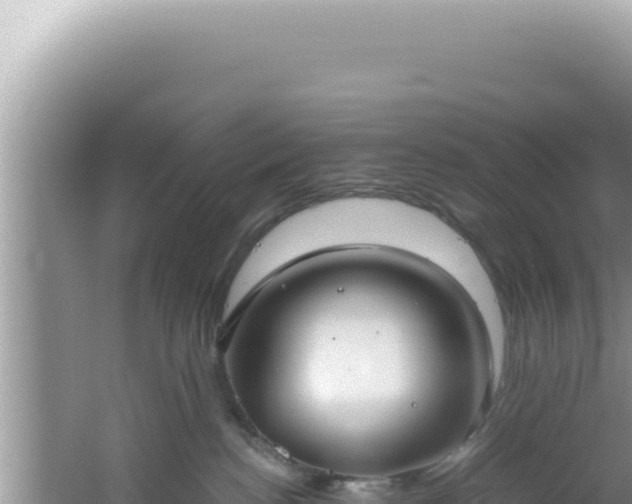 X0000061720188200512092010