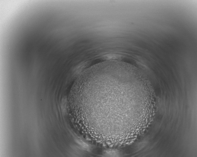 X0000061720189200512092010