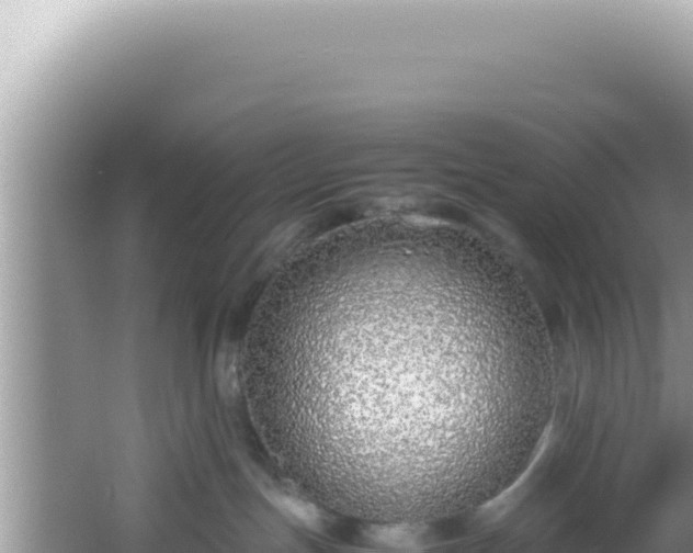 X0000061720191200512092010