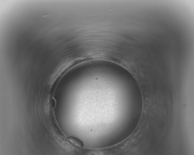 X0000061720194200512092009