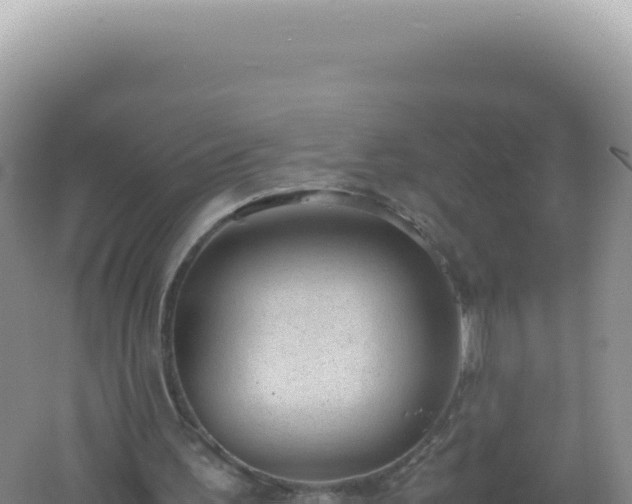 X0000061720195200512092009