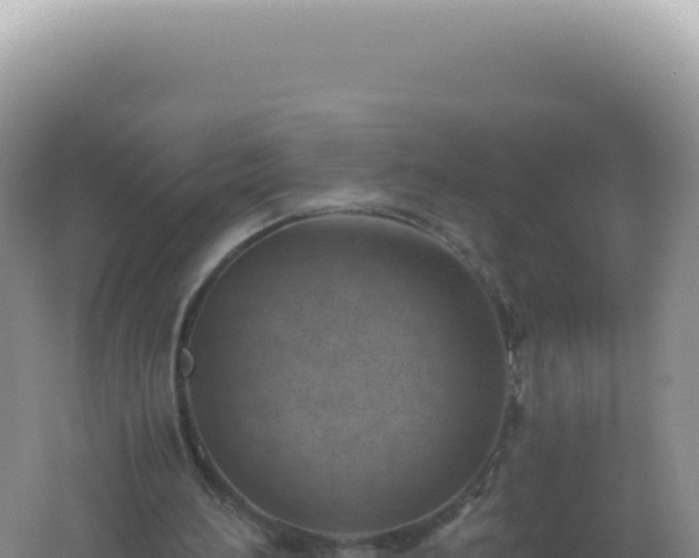 X0000061720196200512092009