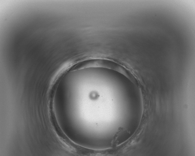 X0000061720197200512092009