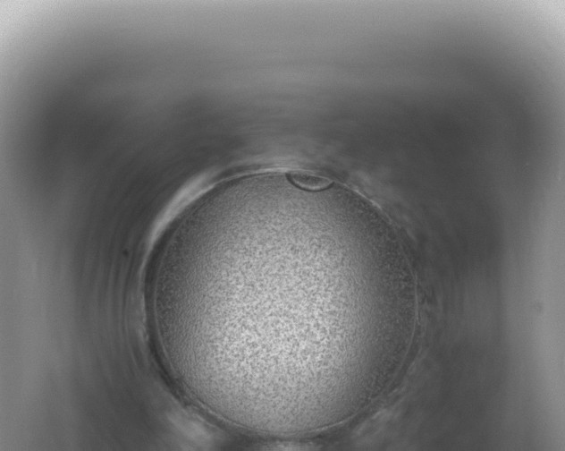 X0000061720198200512092009