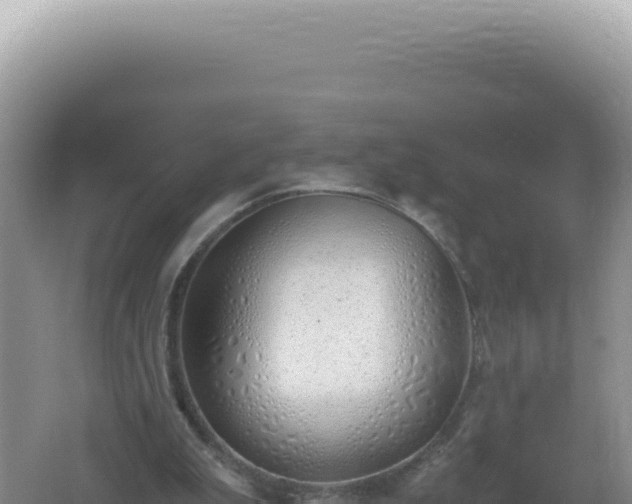 X0000061720199200512092009