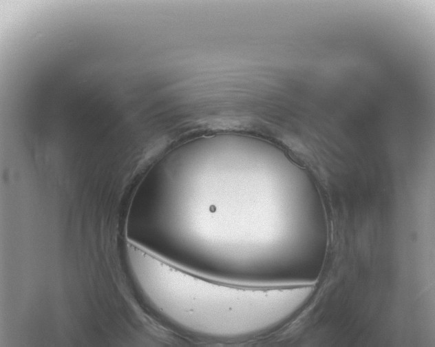 X0000061720201200512092009