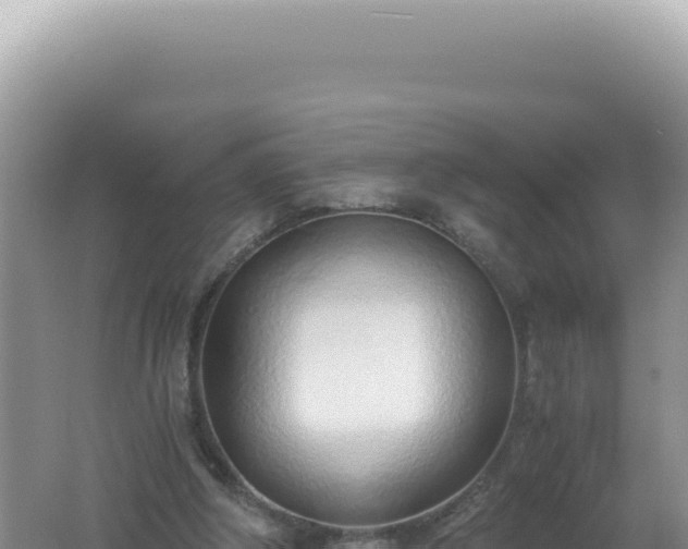 X0000061720202200512092009