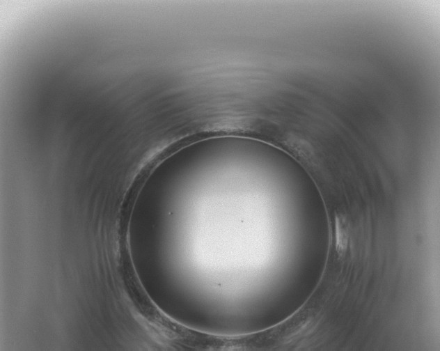 X0000061720204200512092009