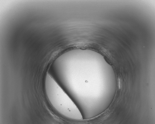 X0000061720205200512092009