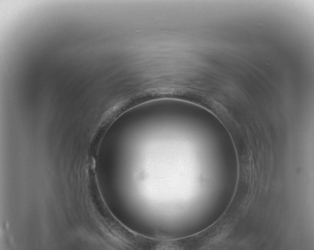 X0000061720207200512092009