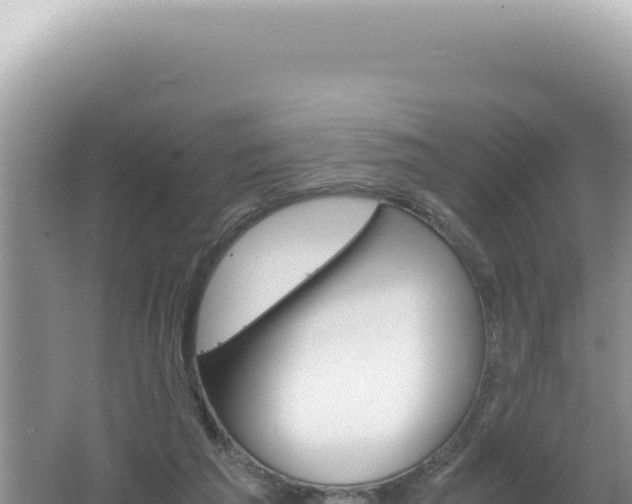 X0000061720209200512092009