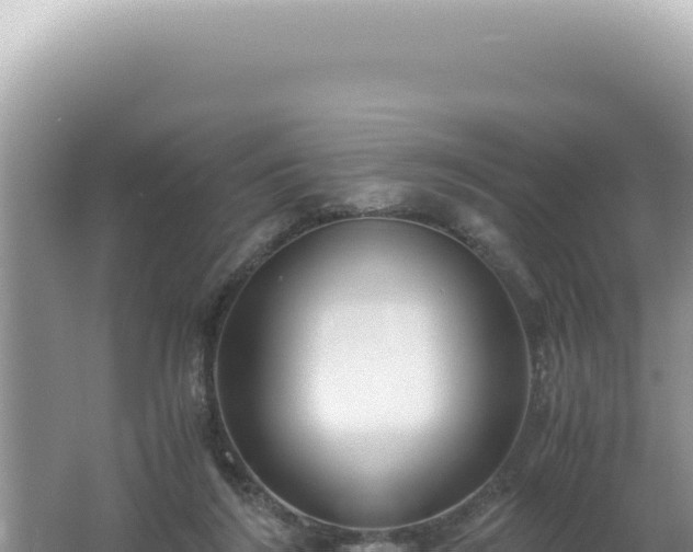 X0000061720212200512092009