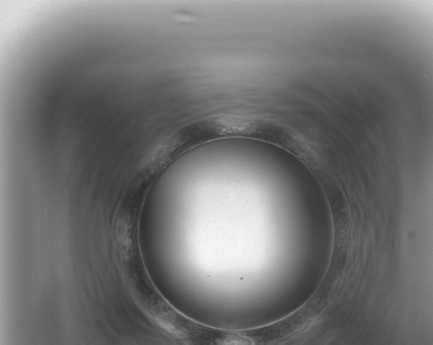 X0000061720215200512092009