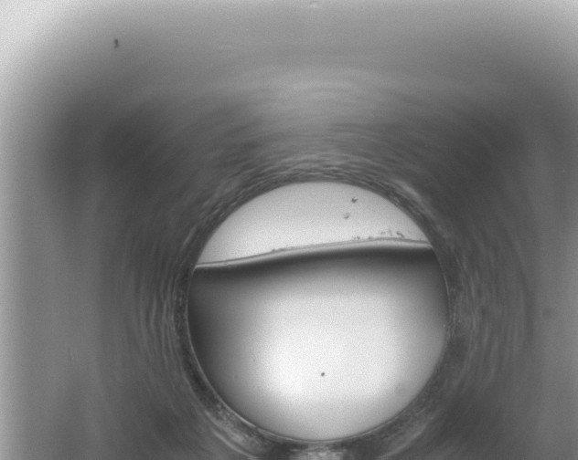 X0000061720217200512092009