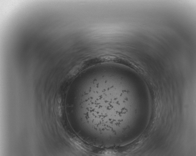 X0000061720223200512092009