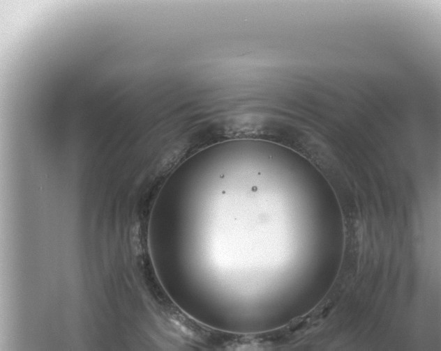 X0000061720224200512092009