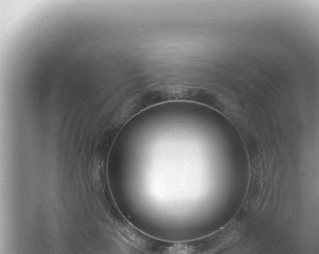 X0000061720225200512092009