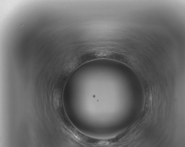 X0000061720227200512092009