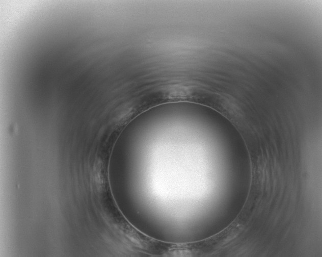 X0000061720228200512092009