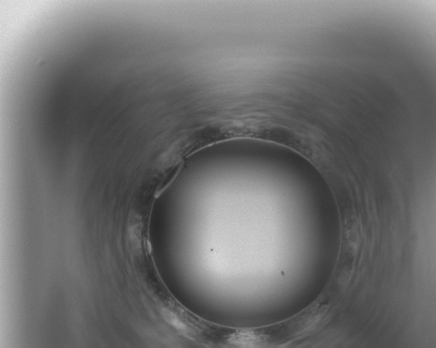 X0000061720231200512092008