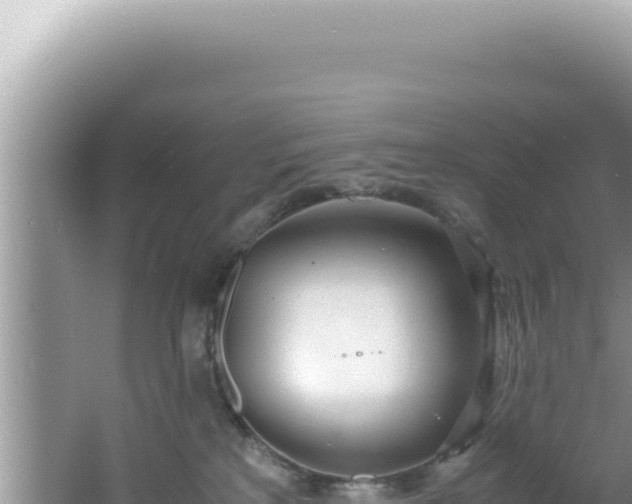 X0000061720233200512092008