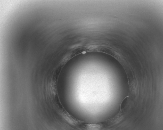 X0000061720234200512092008