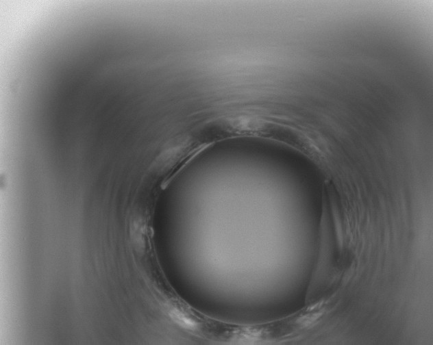 X0000061720235200512092008