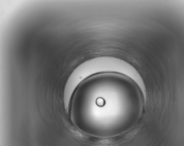 X0000061720237200512092008