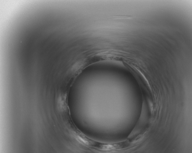 X0000061720239200512092008