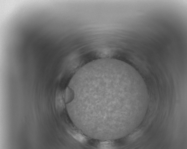 X0000061720240200512092008