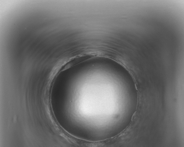 X0000061720241200512092008