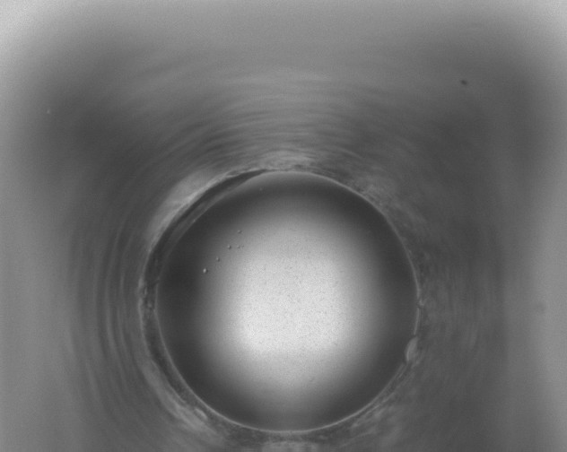 X0000061720242200512092008