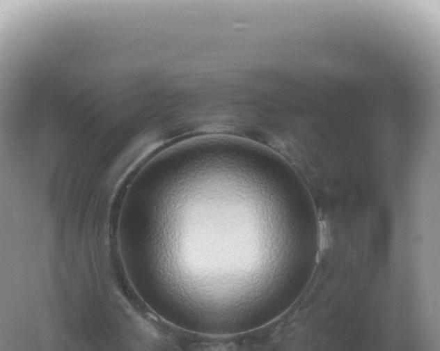 X0000061720243200512092008