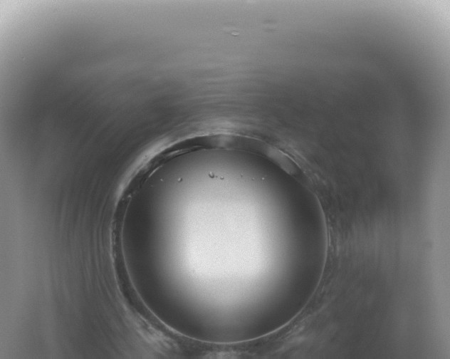 X0000061720244200512092008