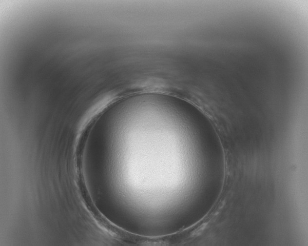 X0000061720245200512092008