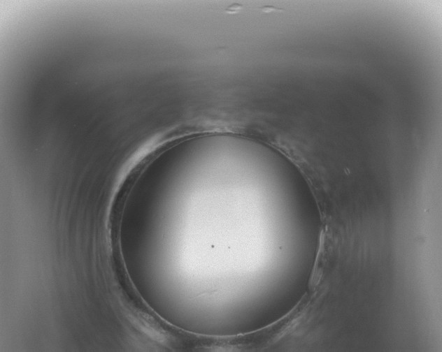 X0000061720246200512092008