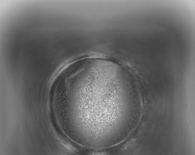 X0000061720247200512092008