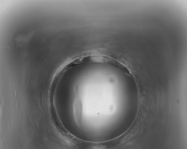 X0000061720248200512092008