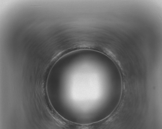 X0000061720249200512092008