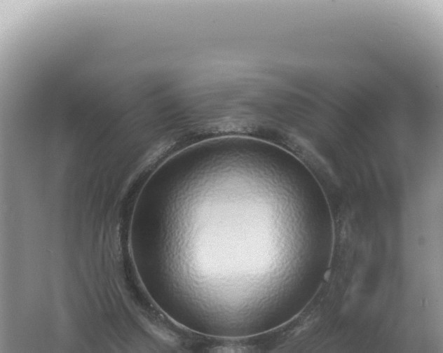 X0000061720250200512092008